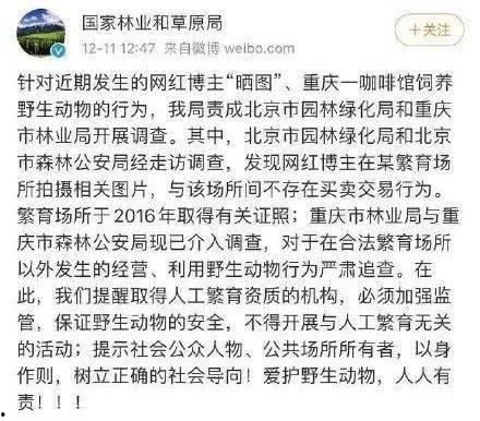 网红黑料是什么意思 潜规则全书,揭秘网红黑料背后的真相