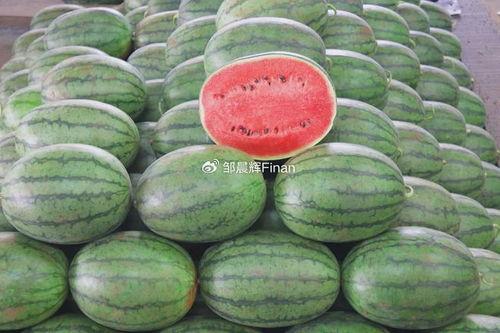 2024大瓜事件,揭秘娱乐圈风云变幻